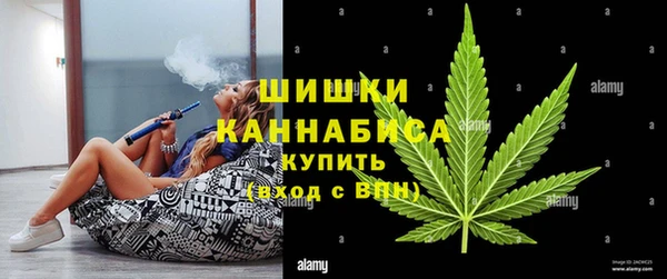 PSILOCYBIN Абаза