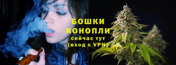 PSILOCYBIN Абаза