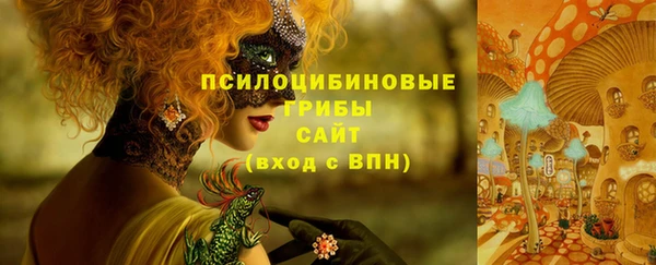 соль ск Абдулино