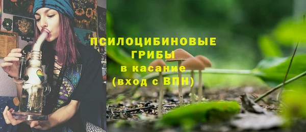 PSILOCYBIN Абаза