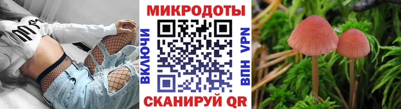 Псилоцибиновые грибы ЛСД  Советская Гавань 